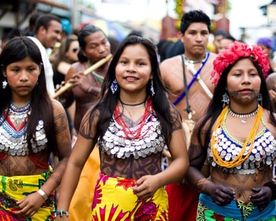 4-Hour Emberá Cultural Tour in Gamboa