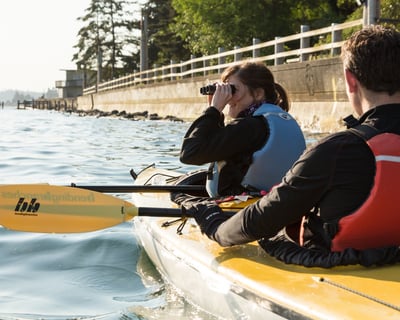 Private 2-Hour Guided Kayak on Whidbey Island