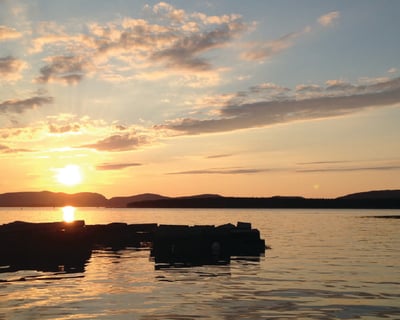 Sunset Cruise in Acadia with Naturalist Guide