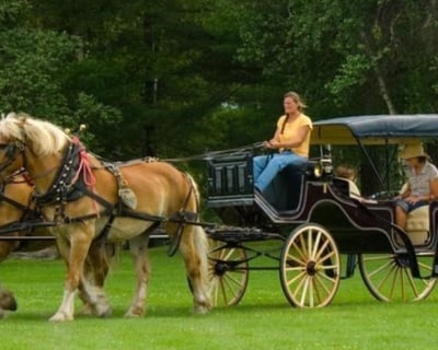Summer & Fall Carriage Ride in Johnson