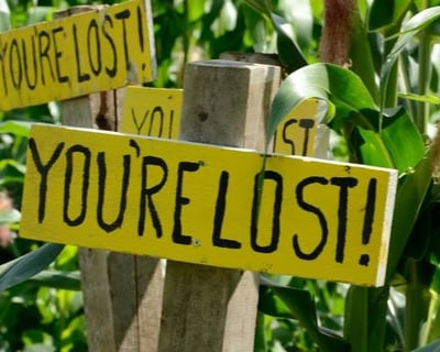 Chipmunk & Acorn Corn Maze in Lee