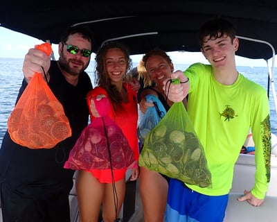5-Hour Scalloping Charter in Crystal River