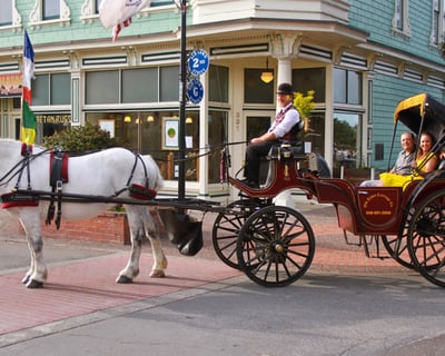 Private Historic Carriage Ride in Eureka
