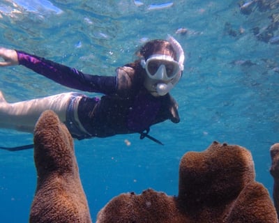 Snorkel Gear Rental at Maho Bay