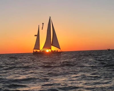 St. Petersburg Sunset & Bottlenose Dolphin Cruise