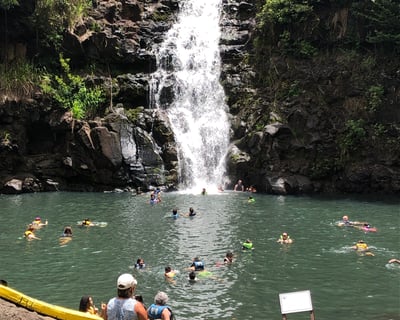Private Full-Day Oahu Custom Island Tour