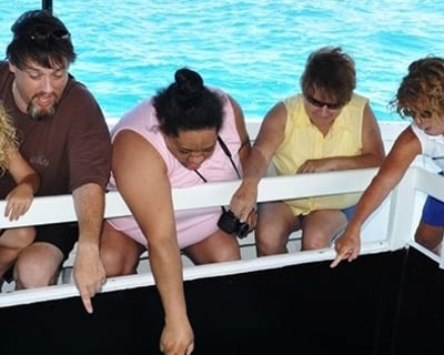 30-Minute Glass Bottom Boat Cruise in Waikoloa