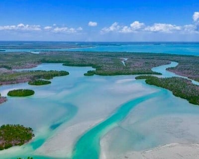 Dolphin & Shelling Boat Tour From Marco Island