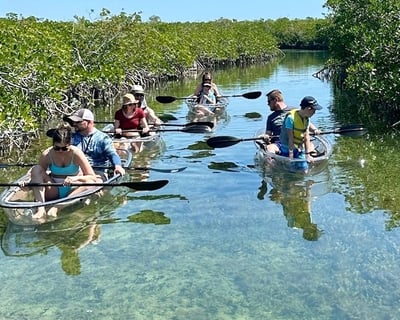 Sugarloaf Key Clear Kayak & Mangrove Tour