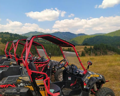 8-Hour Polaris RZR Rental in Gilmer