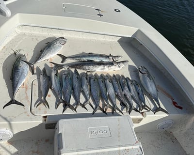 8-Hour Inshore Fishing Charter in St. Petersburg