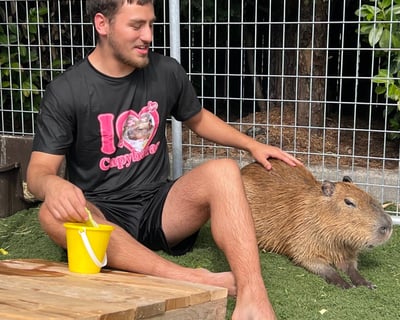 25-Minute Capybara Encounter in Tacoma