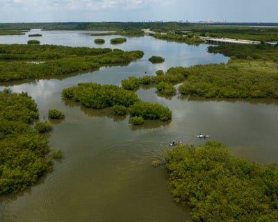 Private Clear Kayak Tour in New Smyrna Beach