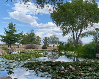 Tour Southern Arizona Wine Country From Phoenix