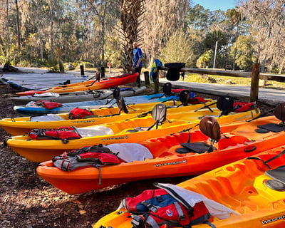 4-Hour Kayak Rental at Silver Springs State Park