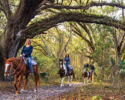 Ocala Horseback Trail Ride with Local Guide