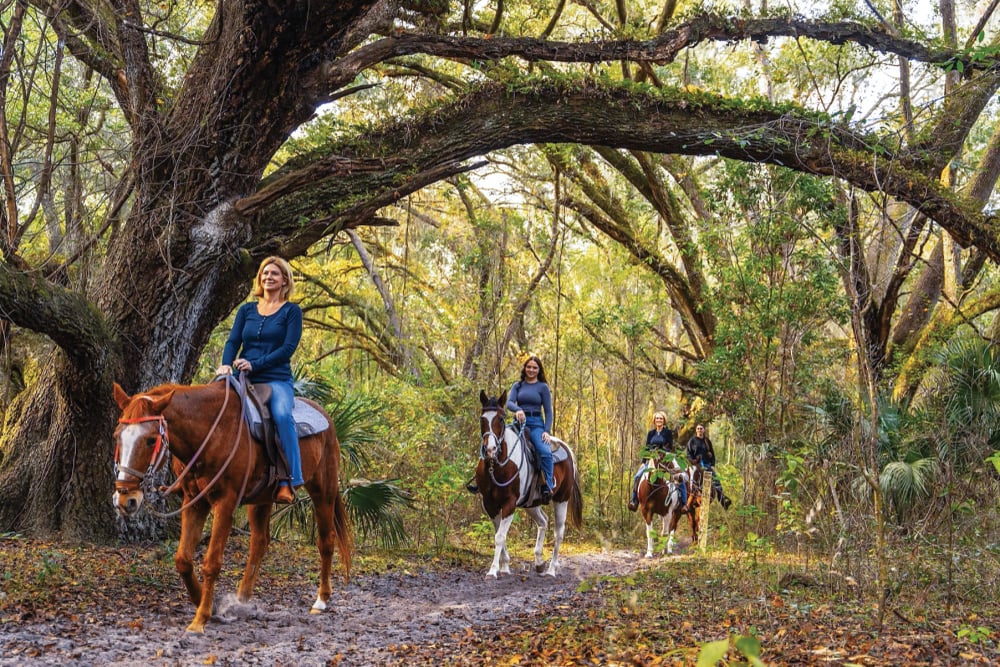 Ocala Horseback Trail Ride with Local Guide