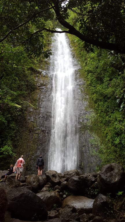 Manoa Falls Guided Waterfall Hike in Honolulu
