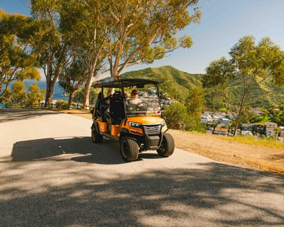 2-Hour Private Golf Cart Tour of Avalon