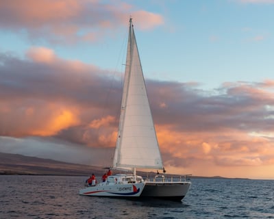 Sunset Sailing Catamaran Cruise on the Big Island