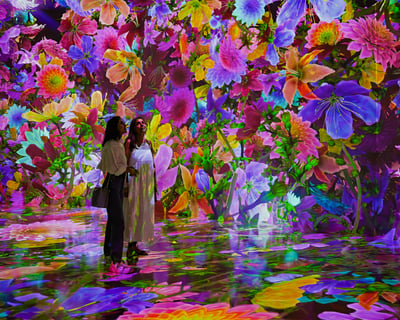 Explore Blooming Wonders Immersive Exhibit in Houston