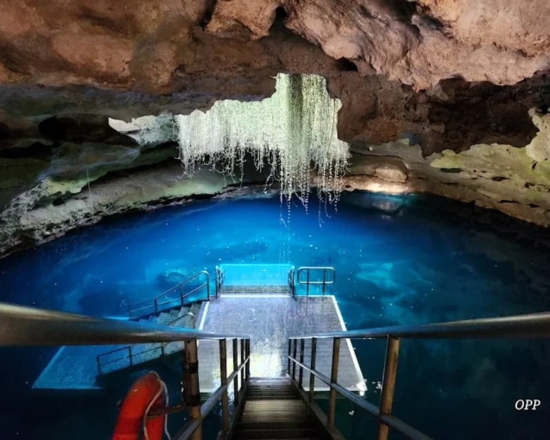 Devil's Den Prehistoric Spring Scuba Dive in Williston