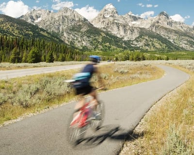 Grand Teton Private Wildlife & Biking Tour