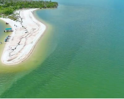 Naples Dolphin & Manatee Eco Tour with Beach Time