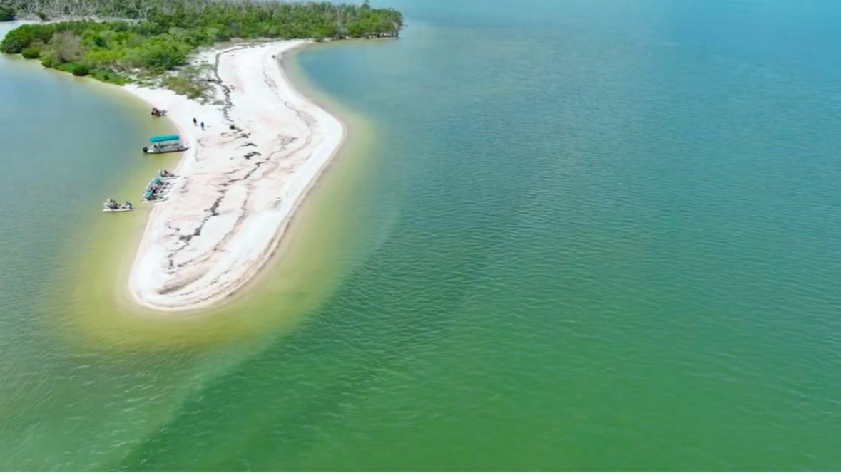 Naples Dolphin & Manatee Eco Tour with Beach Time