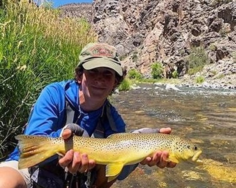 Half-Day Walk & Wade Fly Fishing in Gunnison Gorge