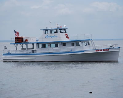 5-Hour Fishing Charter in Hampton