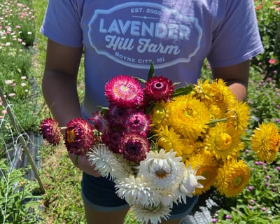 Seasonal Flower Cutting Workshop in Boyne City