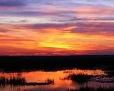 Hilton Head Island Sunset Cruise