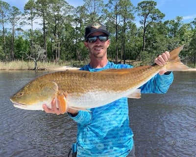 Guided Inshore Fishing Charter in Orange Beach