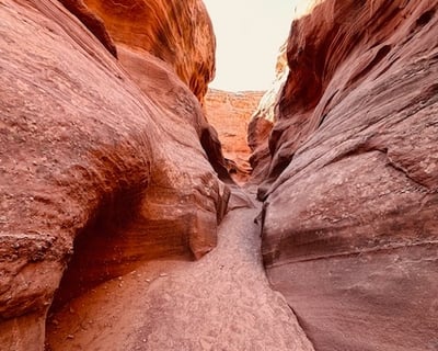 Explore Upper Antelope, Owl & Rattlesnake Canyons