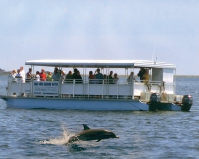 Dolphin Watching Tour in Nags Head