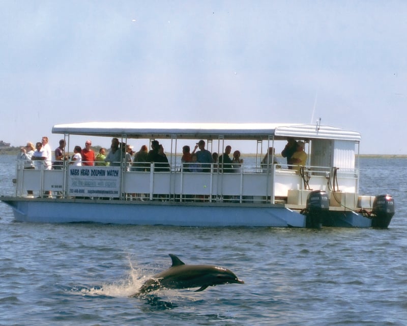 Dolphin Watching Tour in Nags Head