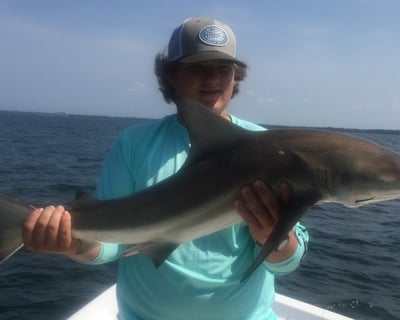 Shark Fishing Charter in Panama City Beach