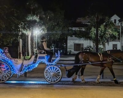Night of Lights Horse-Drawn Carriage Ride