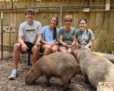 45-Minute Guided Capybara Encounter & Feeding