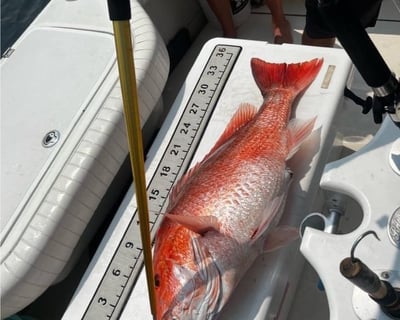 Pensacola Beach 8-Hour Fishing Charter