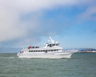 San Diego 3-Hour Whale Watching Cruise