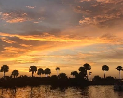 Guided Coastal Lagoon Eco Tour in Merritt Island