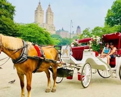 45-Minute Central Park Horse Carriage Tour