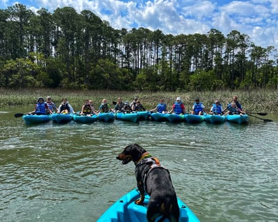 Sunrise Guided Kayak Tour in Hilton Head