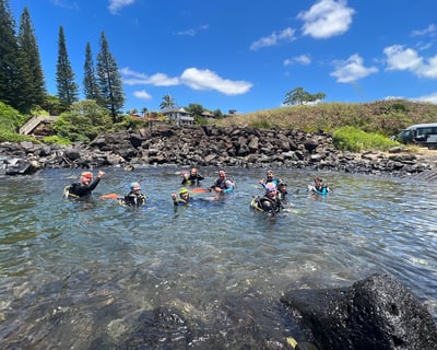 Discover Scuba Diving in Kauai with 2 Tank Dives