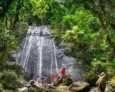 El Yunque National Forest 6-Hour Guided Tour