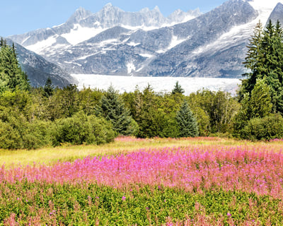 Guided Juneau City Tour With Douglas Island