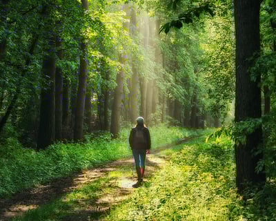 Mindful Nature Walk in Hocking Hills Forest