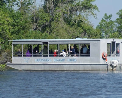 Take a Narrated Swamp Tour Boat Cruise Near New Orleans